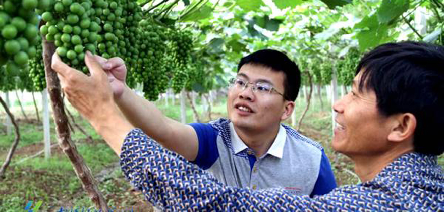 張瑞：用青春鋪就農村電商之路的“開拓者”